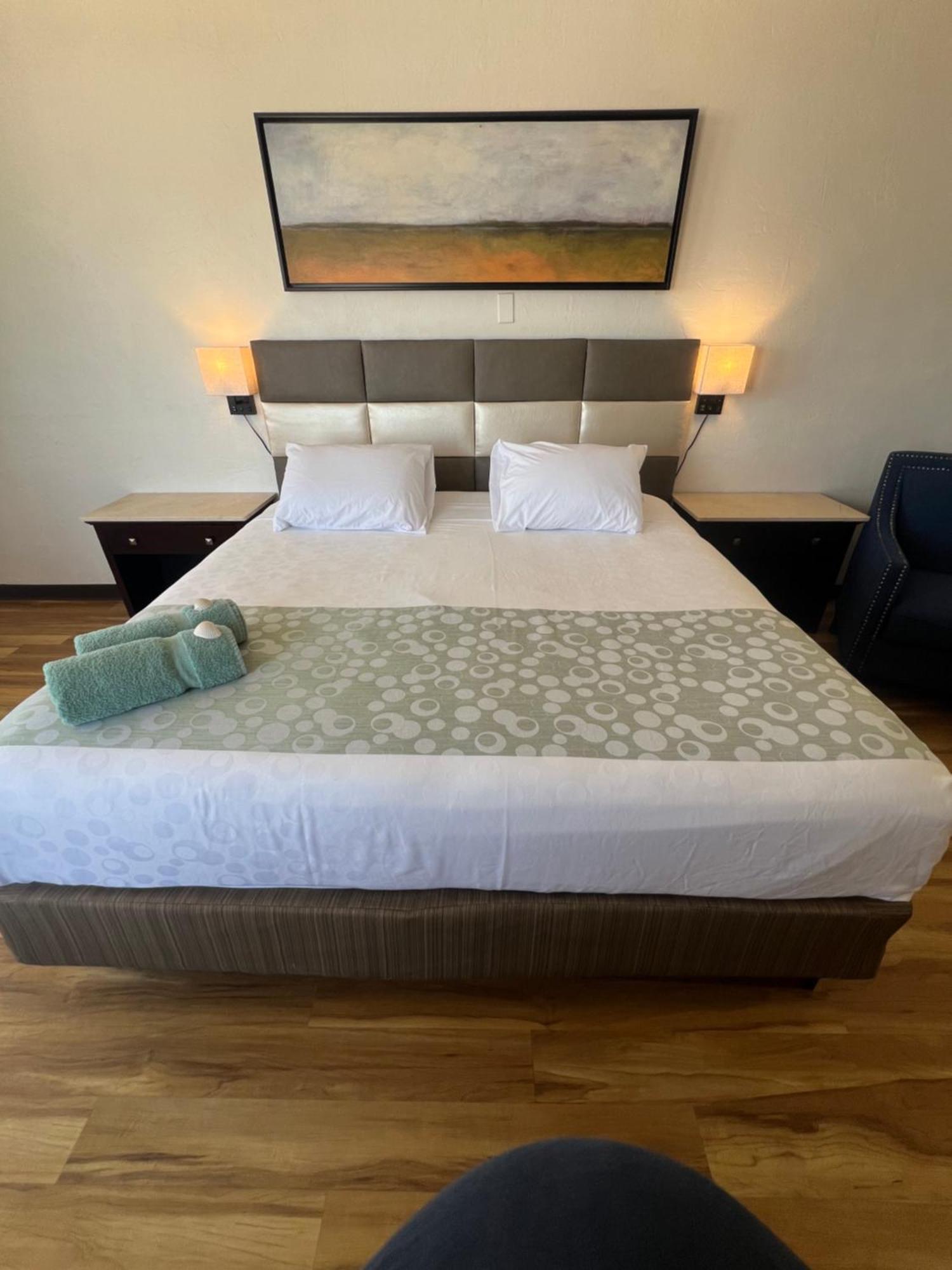 Flamingo Inn Beachfront - Daytona Beach Ngoại thất bức ảnh
