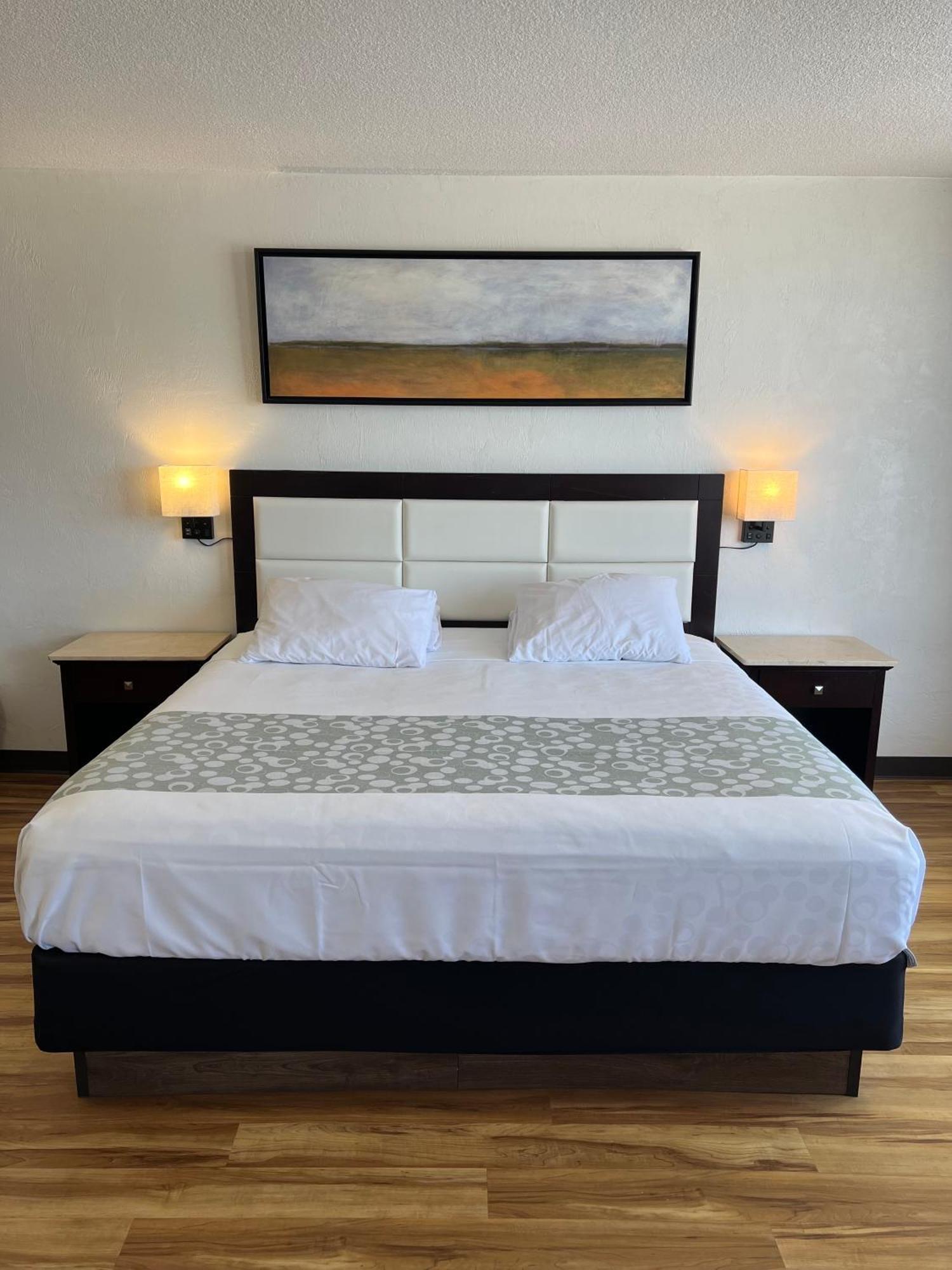 Flamingo Inn Beachfront - Daytona Beach Ngoại thất bức ảnh