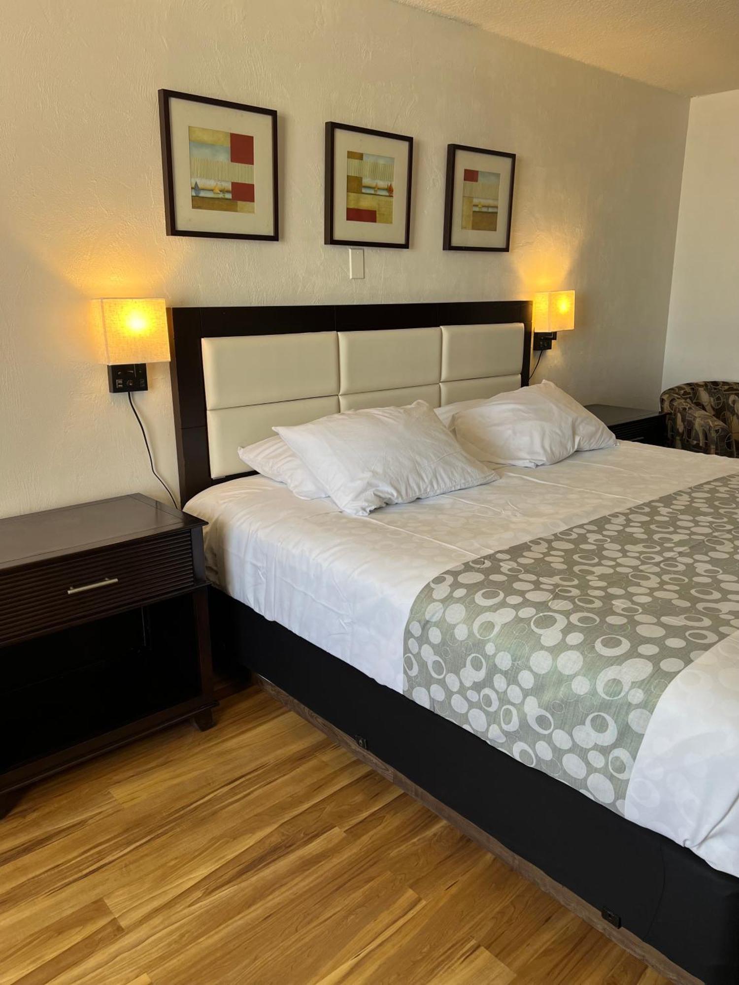 Flamingo Inn Beachfront - Daytona Beach Ngoại thất bức ảnh