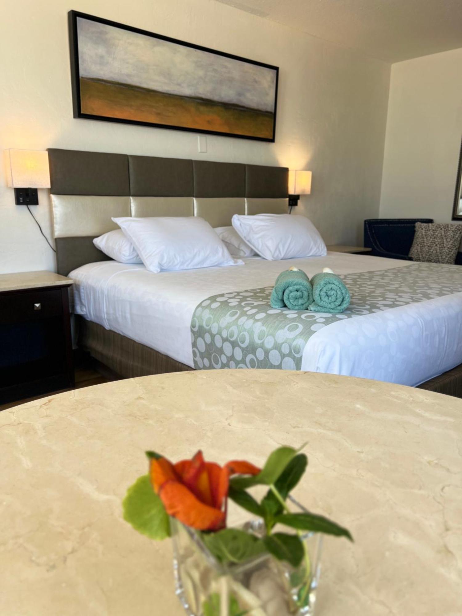 Flamingo Inn Beachfront - Daytona Beach Ngoại thất bức ảnh