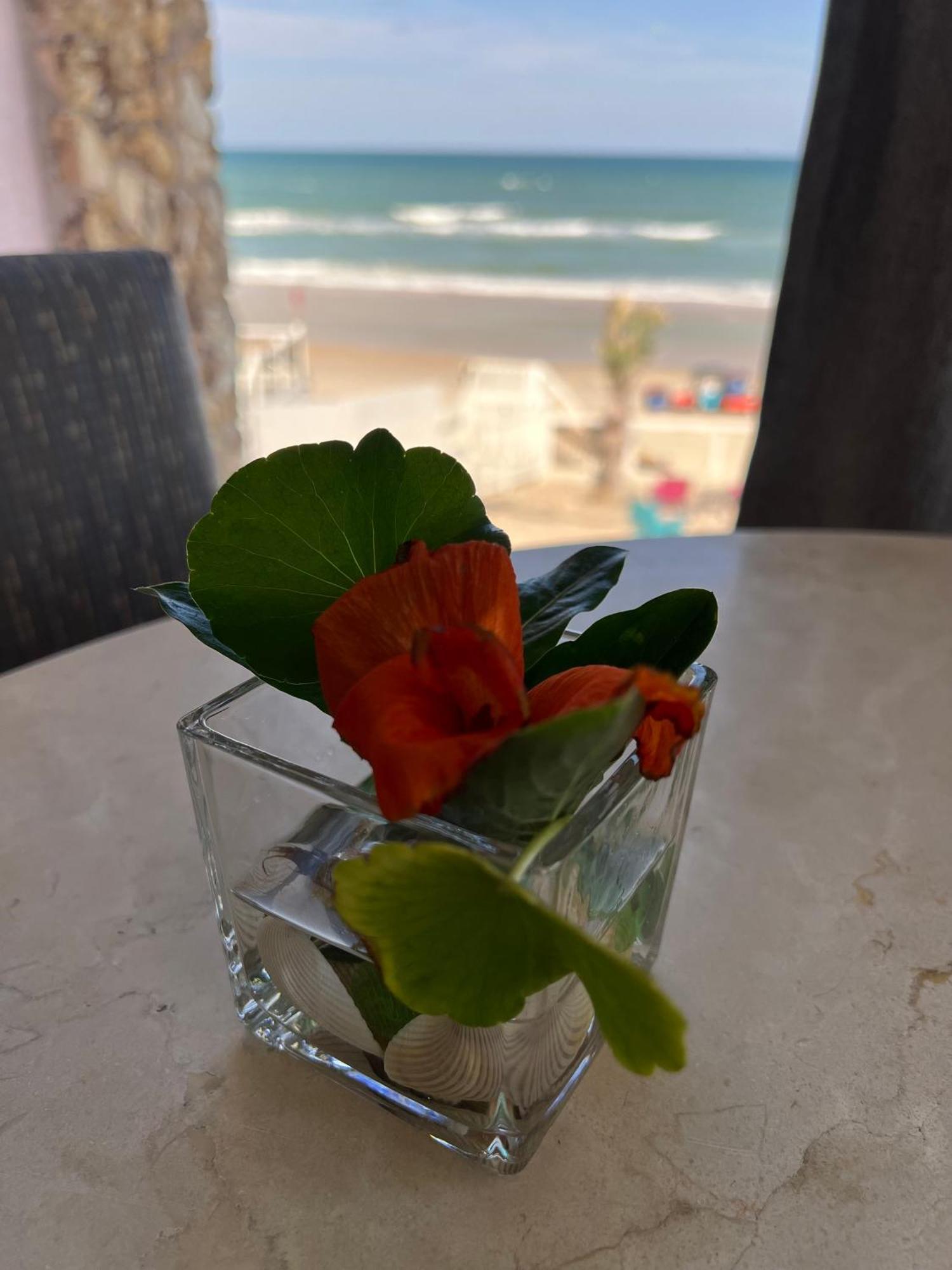Flamingo Inn Beachfront - Daytona Beach Ngoại thất bức ảnh