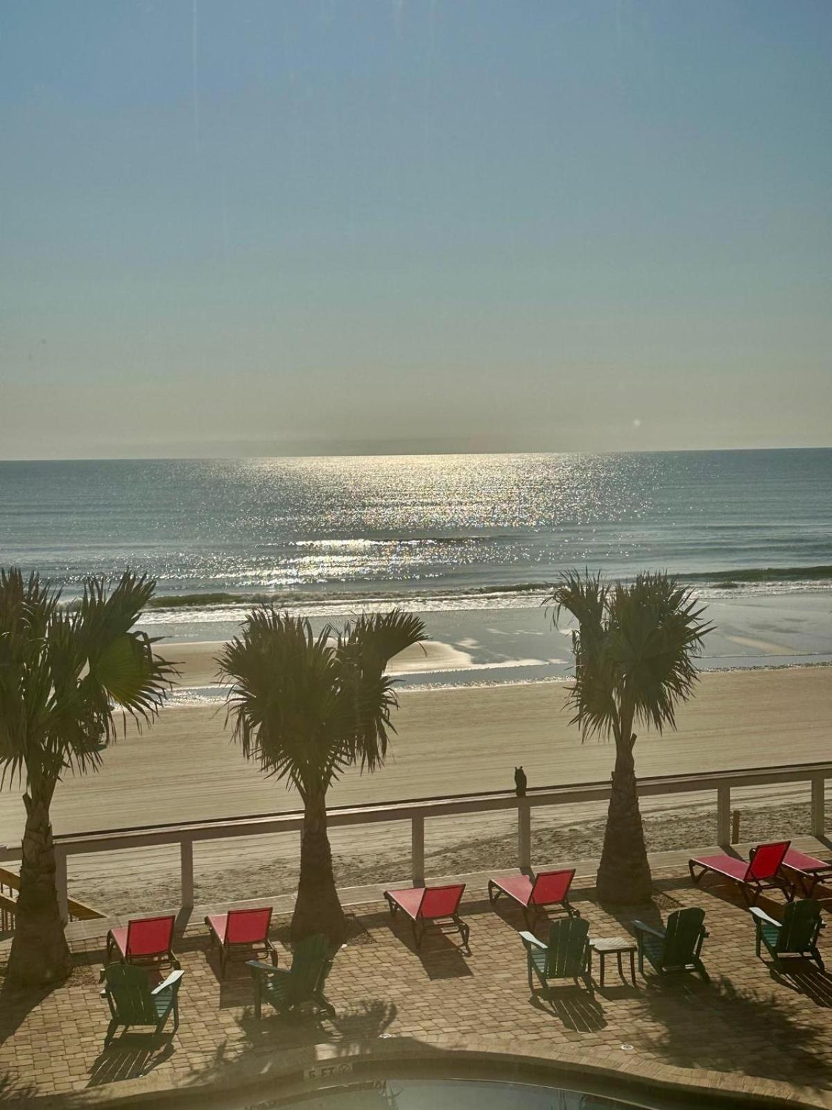 Flamingo Inn Beachfront - Daytona Beach Ngoại thất bức ảnh