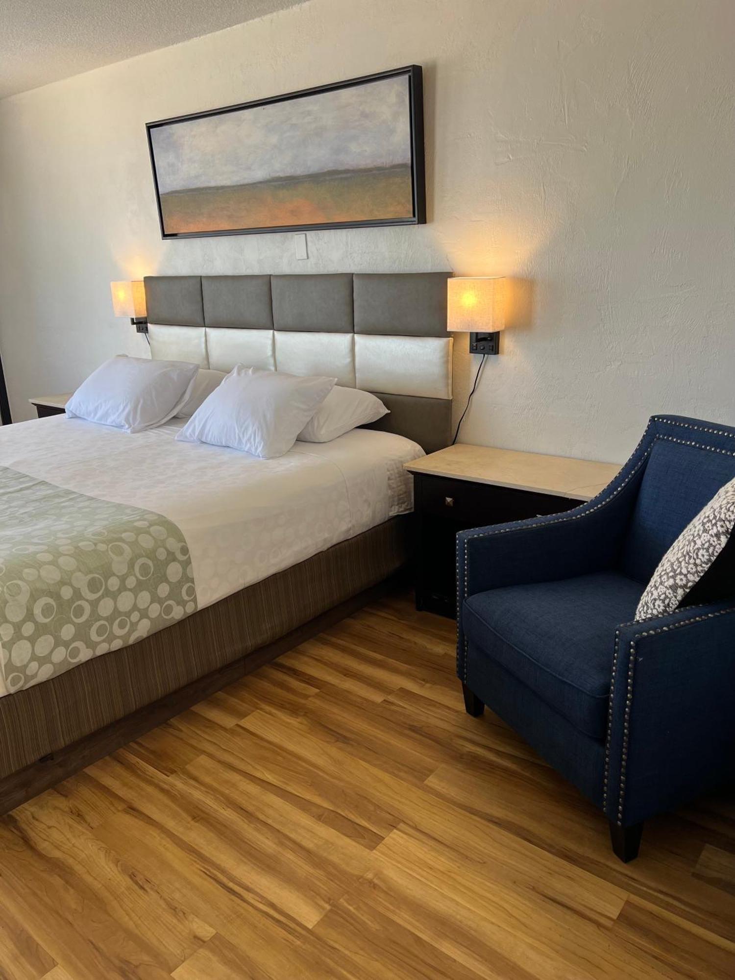 Flamingo Inn Beachfront - Daytona Beach Ngoại thất bức ảnh